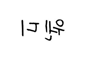 KPOP Red Velvet(레드벨벳、レッド・ベルベット) 웬디 (ウェンディ) k-pop 応援ボード メッセージ 型紙 左右反転