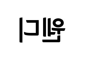 KPOP Red Velvet(레드벨벳、レッド・ベルベット) 웬디 (ウェンディ) k-pop アイドル名前 ファンサボード 型紙 左右反転