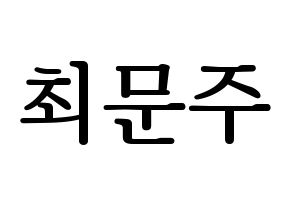 KPOP S.I.S(에스아이에스、エスアイエス) 가을 (ガウル) プリント用応援ボード型紙、うちわ型紙　韓国語/ハングル文字型紙 通常