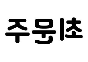 KPOP S.I.S(에스아이에스、エスアイエス) 가을 (ガウル) 応援ボード・うちわ　韓国語/ハングル文字型紙 左右反転
