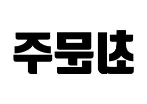 KPOP S.I.S(에스아이에스、エスアイエス) 가을 (ガウル) コンサート用　応援ボード・うちわ　韓国語/ハングル文字型紙 左右反転