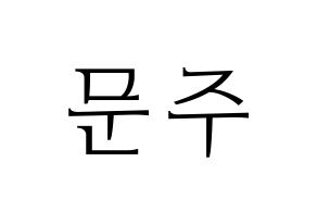 KPOP S.I.S(에스아이에스、エスアイエス) 가을 (ガウル) 応援ボード・うちわ　韓国語/ハングル文字型紙 通常