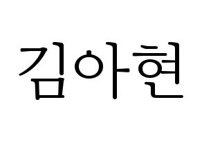 KPOP S.I.S(에스아이에스、エスアイエス) 달 (ダル) 応援ボード・うちわ　韓国語/ハングル文字型紙 通常