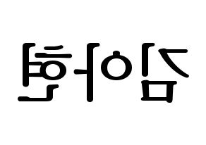 KPOP S.I.S(에스아이에스、エスアイエス) 달 (ダル) プリント用応援ボード型紙、うちわ型紙　韓国語/ハングル文字型紙 左右反転