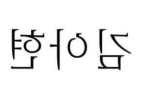 KPOP S.I.S(에스아이에스、エスアイエス) 달 (ダル) 応援ボード・うちわ　韓国語/ハングル文字型紙 左右反転
