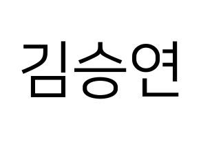 KPOP S.I.S(에스아이에스、エスアイエス) 앤 (エン) プリント用応援ボード型紙、うちわ型紙　韓国語/ハングル文字型紙 通常