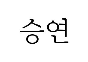KPOP S.I.S(에스아이에스、エスアイエス) 앤 (エン) 応援ボード・うちわ　韓国語/ハングル文字型紙 通常