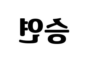 KPOP S.I.S(에스아이에스、エスアイエス) 앤 (エン) コンサート用　応援ボード・うちわ　韓国語/ハングル文字型紙 左右反転