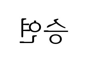 KPOP S.I.S(에스아이에스、エスアイエス) 앤 (エン) 応援ボード・うちわ　韓国語/ハングル文字型紙 左右反転