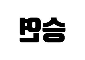 KPOP S.I.S(에스아이에스、エスアイエス) 앤 (エン) コンサート用　応援ボード・うちわ　韓国語/ハングル文字型紙 左右反転