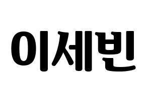 KPOP S.I.S(에스아이에스、エスアイエス) 세빈 (セビン) コンサート用　応援ボード・うちわ　韓国語/ハングル文字型紙 通常