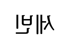 KPOP S.I.S(에스아이에스、エスアイエス) 세빈 (セビン) プリント用応援ボード型紙、うちわ型紙　韓国語/ハングル文字型紙 左右反転