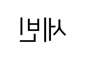 KPOP S.I.S(에스아이에스、エスアイエス) 세빈 (セビン) プリント用応援ボード型紙、うちわ型紙　韓国語/ハングル文字型紙 左右反転