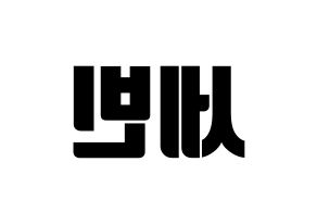 KPOP S.I.S(에스아이에스、エスアイエス) 세빈 (セビン) コンサート用　応援ボード・うちわ　韓国語/ハングル文字型紙 左右反転