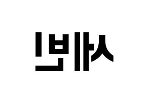 KPOP S.I.S(에스아이에스、エスアイエス) 세빈 (セビン) k-pop アイドル名前 ファンサボード 型紙 左右反転