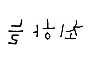 KPOP SATURDAY(새러데이、サタデー) 하늘 (チェ・ハヌル, ハヌル) 無料サイン会用、イベント会用応援ボード型紙 左右反転