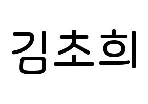 KPOP SATURDAY(새러데이、サタデー) 초희 (キム・チョヒ, チョヒ) 無料サイン会用、イベント会用応援ボード型紙 通常