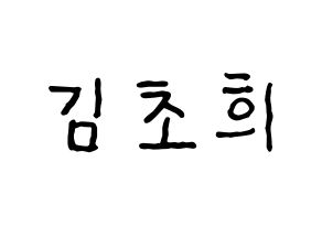 KPOP SATURDAY(새러데이、サタデー) 초희 (チョヒ) k-pop アイドル名前 ファンサボード 型紙 通常