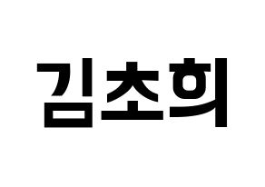 KPOP SATURDAY(새러데이、サタデー) 초희 (チョヒ) k-pop アイドル名前 ファンサボード 型紙 通常