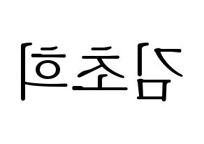 KPOP SATURDAY(새러데이、サタデー) 초희 (チョヒ) 応援ボード・うちわ　韓国語/ハングル文字型紙 左右反転