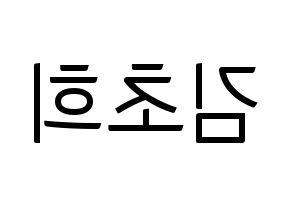 KPOP SATURDAY(새러데이、サタデー) 초희 (チョヒ) コンサート用　応援ボード・うちわ　韓国語/ハングル文字型紙 左右反転