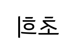 KPOP SATURDAY(새러데이、サタデー) 초희 (チョヒ) コンサート用　応援ボード・うちわ　韓国語/ハングル文字型紙 左右反転