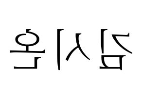 KPOP SATURDAY(새러데이、サタデー) 시온 (シオン) 応援ボード・うちわ　韓国語/ハングル文字型紙 左右反転