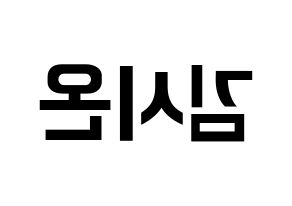 KPOP SATURDAY(새러데이、サタデー) 시온 (シオン) k-pop アイドル名前 ファンサボード 型紙 左右反転