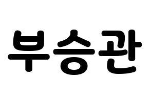KPOP SEVENTEEN(세븐틴、セブンティーン) 승관 (スングァン) 応援ボード・うちわ　韓国語/ハングル文字型紙 通常