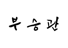 KPOP SEVENTEEN(세븐틴、セブンティーン) 승관 (ブ・スングァン, スングァン) 応援ボード、うちわ無料型紙、応援グッズ 通常