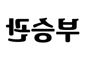 KPOP SEVENTEEN(세븐틴、セブンティーン) 승관 (スングァン) コンサート用　応援ボード・うちわ　韓国語/ハングル文字型紙 左右反転