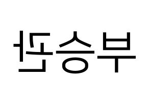 KPOP SEVENTEEN(세븐틴、セブンティーン) 승관 (スングァン) プリント用応援ボード型紙、うちわ型紙　韓国語/ハングル文字型紙 左右反転