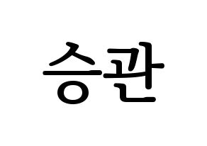 KPOP SEVENTEEN(세븐틴、セブンティーン) 승관 (スングァン) プリント用応援ボード型紙、うちわ型紙　韓国語/ハングル文字型紙 通常