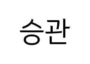 KPOP SEVENTEEN(세븐틴、セブンティーン) 승관 (スングァン) コンサート用　応援ボード・うちわ　韓国語/ハングル文字型紙 通常