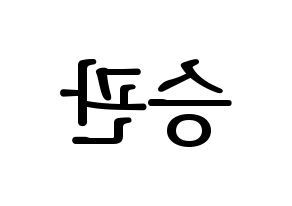 KPOP SEVENTEEN(세븐틴、セブンティーン) 승관 (スングァン) プリント用応援ボード型紙、うちわ型紙　韓国語/ハングル文字型紙 左右反転
