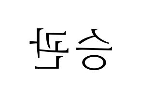 KPOP SEVENTEEN(세븐틴、セブンティーン) 승관 (スングァン) 応援ボード・うちわ　韓国語/ハングル文字型紙 左右反転