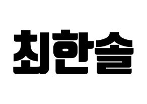 KPOP SEVENTEEN(세븐틴、セブンティーン) 버논 (バーノン) コンサート用　応援ボード・うちわ　韓国語/ハングル文字型紙 通常