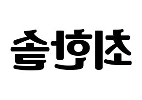 KPOP SEVENTEEN(세븐틴、セブンティーン) 버논 (バーノン) コンサート用　応援ボード・うちわ　韓国語/ハングル文字型紙 左右反転