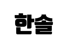 KPOP SEVENTEEN(세븐틴、セブンティーン) 버논 (バーノン) コンサート用　応援ボード・うちわ　韓国語/ハングル文字型紙 通常