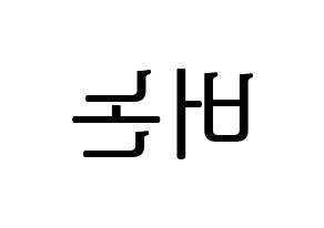 KPOP SEVENTEEN(세븐틴、セブンティーン) 버논 (バーノン) プリント用応援ボード型紙、うちわ型紙　韓国語/ハングル文字型紙 左右反転