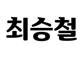 KPOP SEVENTEEN(세븐틴、セブンティーン) 에스쿱스 (エスクプス) コンサート用　応援ボード・うちわ　韓国語/ハングル文字型紙 通常