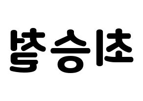 KPOP SEVENTEEN(세븐틴、セブンティーン) 에스쿱스 (エスクプス) 応援ボード・うちわ　韓国語/ハングル文字型紙 左右反転