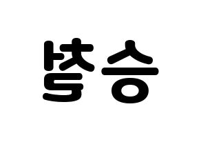 KPOP SEVENTEEN(세븐틴、セブンティーン) 에스쿱스 (エスクプス) 応援ボード・うちわ　韓国語/ハングル文字型紙 左右反転