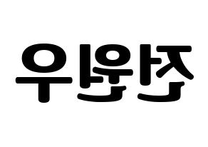 KPOP SEVENTEEN(세븐틴、セブンティーン) 원우 (ウォヌ) コンサート用　応援ボード・うちわ　韓国語/ハングル文字型紙 左右反転