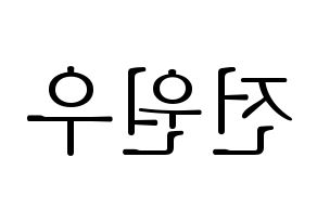 KPOP SEVENTEEN(세븐틴、セブンティーン) 원우 (ウォヌ) 応援ボード・うちわ　韓国語/ハングル文字型紙 左右反転