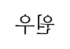 KPOP SEVENTEEN(세븐틴、セブンティーン) 원우 (ウォヌ) 応援ボード・うちわ　韓国語/ハングル文字型紙 左右反転