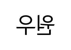 KPOP SEVENTEEN(세븐틴、セブンティーン) 원우 (ウォヌ) コンサート用　応援ボード・うちわ　韓国語/ハングル文字型紙 左右反転