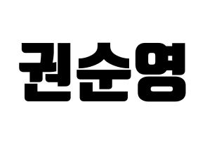 KPOP SEVENTEEN(세븐틴、セブンティーン) 호시 (ホシ) コンサート用　応援ボード・うちわ　韓国語/ハングル文字型紙 通常