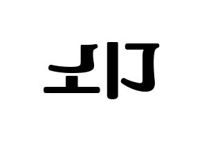KPOP SEVENTEEN(세븐틴、セブンティーン) 디노 (ディノ) コンサート用　応援ボード・うちわ　韓国語/ハングル文字型紙 左右反転