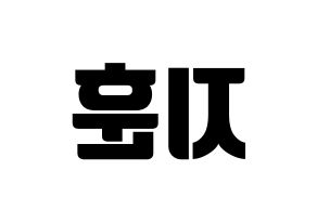 KPOP SEVENTEEN(세븐틴、セブンティーン) 우지 (ウジ) コンサート用　応援ボード・うちわ　韓国語/ハングル文字型紙 左右反転